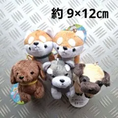 Item thumbnail for item 67a435b4-b750-4ac7-9491-3d1e8cbaf6b6