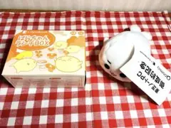 激レア　東芝　dynabook ぱらちゃん　お弁当箱　クリーナー　非売品