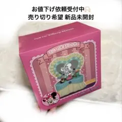ミニーの光るドレッサー 未開封