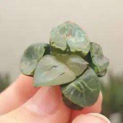 ナナクー様 リクエスト 2点 まとめ商品