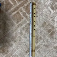 Item thumbnail for item f6cfddc7-09f8-4112-a949-cb0952397bdd