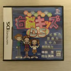 右脳キッズ DS、ソフトのみだと300円