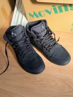 Item thumbnail for item 0ed1ae3f-cb1d-4dc3-b9eb-9dde7ca884b0