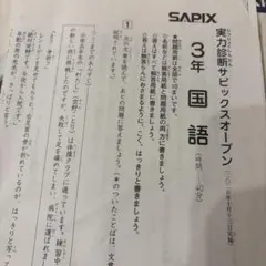 2026年最新】サピックスオープン 3年の人気アイテム - メルカリ