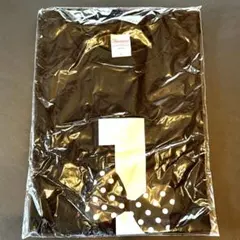 Item thumbnail for item 79fcb890-d0d9-4c30-8f4d-88d26fe51118