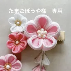 たまごぼうや様　専用