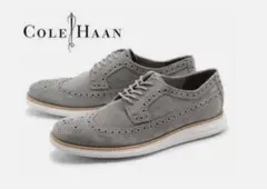 Item thumbnail for item 7303d3f8-cd9b-434f-a050-dddd3bb8b737