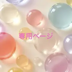 りーちゃん様　専用