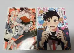 blコミックまとめ売り 俺達はBLにはならない 他 ボーイズラブ漫画 2冊セット