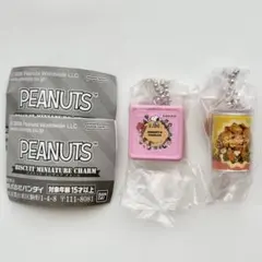 スヌーピー PEANUTS ビスケットミニチュアチャーム 2点セット【未開封】
