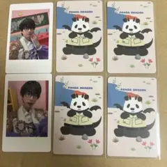 パンダドラゴン アイドル