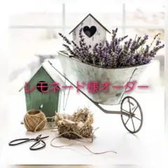 レモネード様オーダー