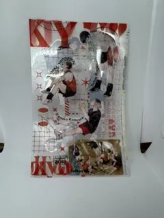 ハイキュー Tokyo 遠征 クリアカード