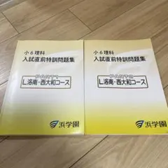2026年最新】L洛南西大和の人気アイテム - メルカリ