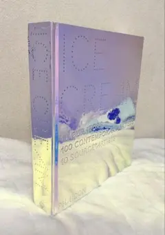 Ice Cream, 10 Curators, 現代アート美術書