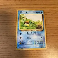 ゼニガメ イントロパック