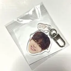 す*。様 TREASURE ジェヒョク アクキー 楽