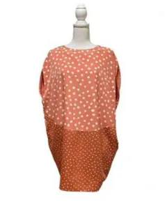 Item thumbnail for item 0bd110f6-99c0-49ae-bfca-f27dfa2283e2