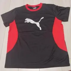 PUMA Tシャツ 黒/赤 サイズ160