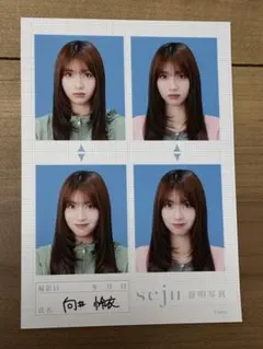 向井地美音 seju 証明写真のサムネイル
