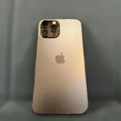 Apple iPhone 12 Pro Max グラファイト 本体 256GB