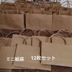 ハンドメイドミニ紙袋　クラフト無地　12枚セット