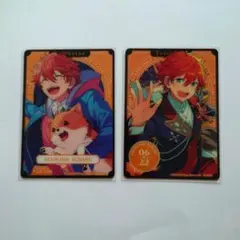 しらたま。。様専用ページ