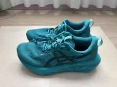 アシックス　NOVABLAST 5 26cm メンズ