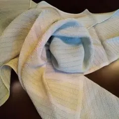 Item thumbnail for item ea1e48a3-530c-438b-a925-4e88157ad671