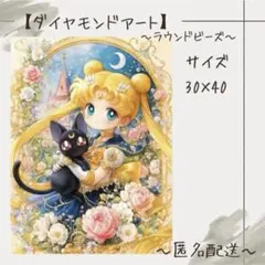 【ダイヤモンドアート】　ビーズアート　ラウンドビーズ　30×40