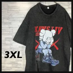 KAWS Jordan4 グラフィックT ウォッシュ加工 XXXL チャコール