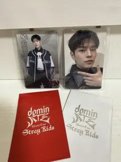 公式 StrayKids スキズ 特典 トレカ スンミン エコパ　フォトカ付き