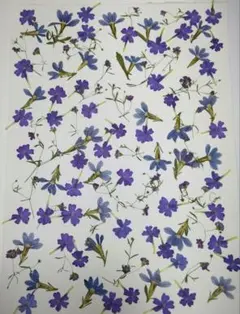 nakaba様 リクエスト 3点 まとめ商品