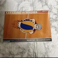 ハイキュー ゴミ捨て場の決戦展 スナップカード 日向翔陽 灰羽リエーフ