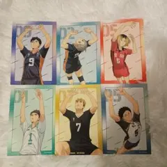 ハイキュー!! アニメイト特典 ポストカード 6枚