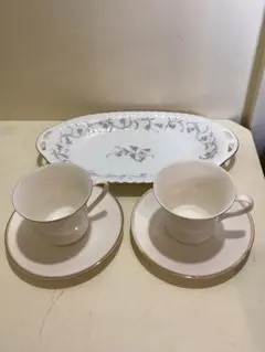 2025年最新】hoya white shadowの人気アイテム - メルカリ