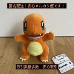 ポケットモンスター いろんなおかおぬいぐるみ ～ヒトカゲ～