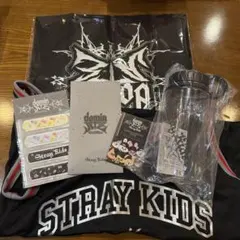 Stray kids dominATE アプグレグッズセット