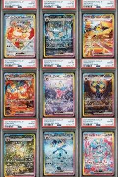 【オールpsa10】テラスタルフェスex ブイズex 9連番