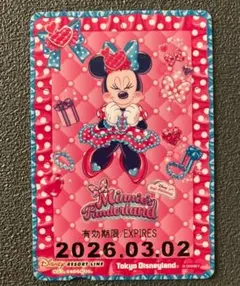 リゾートライン フリーきっぷ ディズニー ミニー パルパルーザ コレクション用