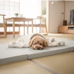 車中泊 マット ごろ寝マット 防臭抗菌 高反発 3つ折り 防水加工 マットレス