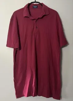 ⭐️美品！ドルモア　ポロシャツ