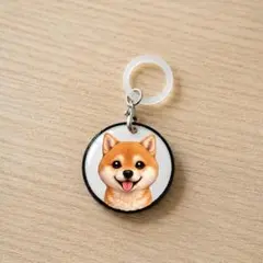 柴犬 茶 ペットボトルマーカー 犬チャーム ハンドメイド