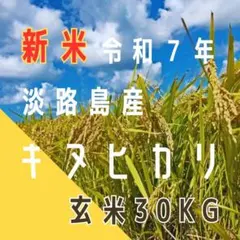 ママちゃん様専用　15kg標準精米　15kg8分づき精米のサムネイル