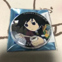 鬼滅の刃 柱展 エモーショナル缶バッジ