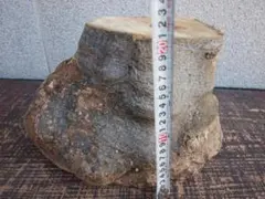 もくれん 薪割り台 丸太 32-27/18-16 ✕高さ20 cm 7 kg ①