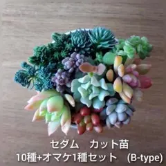 ハルちゃー様 リクエスト 2点 まとめ商品