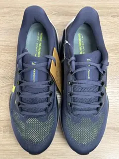 新品、未使用！　ペガサス 41 Pegasus 41 FD2722-501