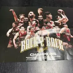 NEO PHOENIX BACK 2 BACK CHAMPIONS ポスター2枚