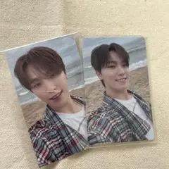 SEVENTEEN DINO 消費期限　会場限定　名古屋・福岡